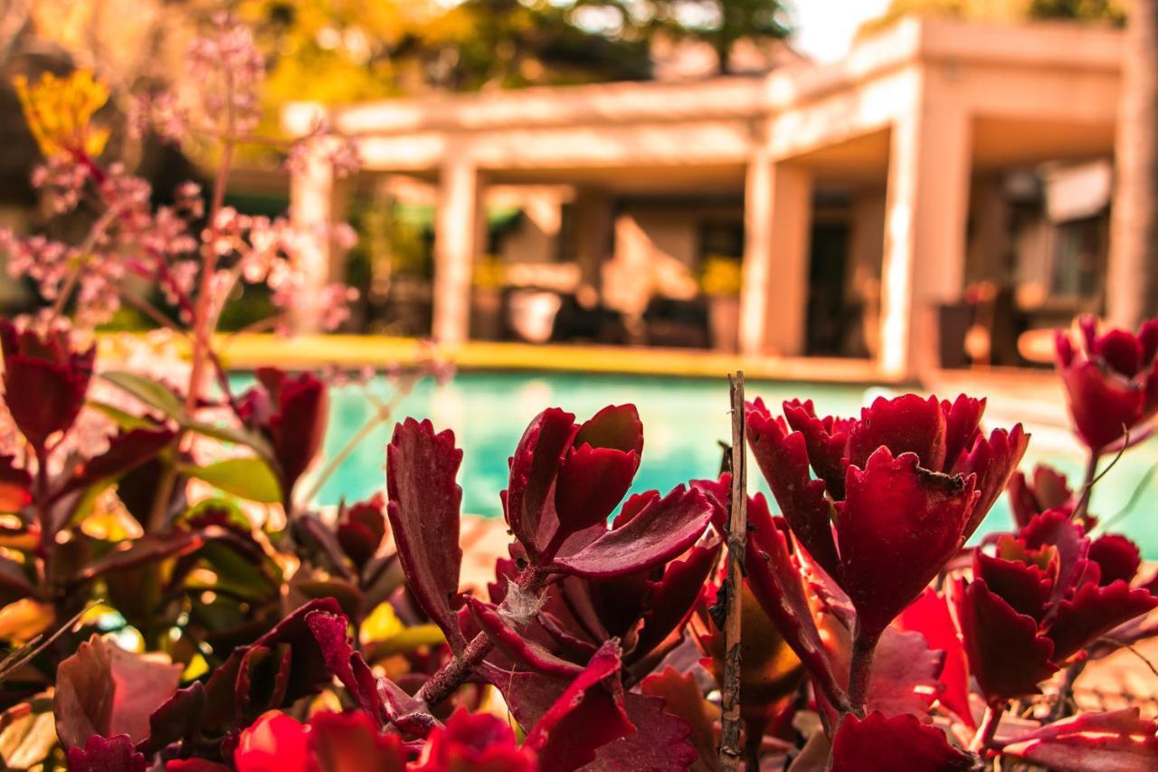 Lourie Lodge Sandton Exterior photo